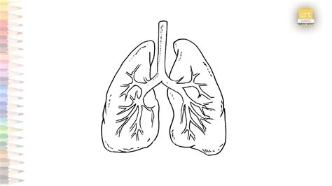 lungsod drawing easy|How to draw: Lungs .